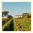 Domaine La Javernière - au coeur des vignes