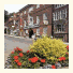 Norfolk Arms Hotel