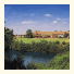 Forest of Arden, A Marriott Hotel and Country Club: fotografie