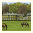 Kinloch House Hotel: fotografie