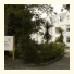 The Green House: fotografie
