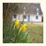 High Green Lodge: fotografie