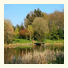 Wildwood Garden Suites