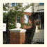 The Cherry Tree Guest House