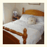 Trelawney Guest House