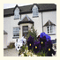 Angel House B&B