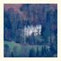 Forest Side Hotel