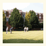 Britannia Ashley Hotel: fotografie