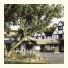 Sketchley Grange Hotel: fotografie
