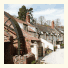 Combe House Hotel