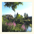 A Lakeside Town Farm B & B