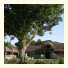 Old Thorns Manor Hotel Golf & Country Estate