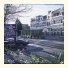 Best Western The Alicia