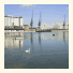 Ibis London Excel-Docklands: fotografie