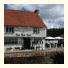 The Yew Tree