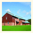 YHA National Forest