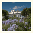 The Old Coastguard Hotel: fotografie