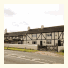 The Plume of Feathers
