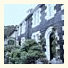Arbour Guest House