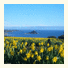 Shoreline B&B