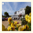 Mayfair Hotel: fotografie