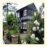 Riverview Cottage