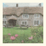 Thatched Cottage