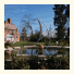 The Pinewood Hotel - A Bespoke Hotel