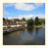 Swan At Streatley: fotografie