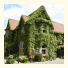 Ivy Hotel