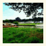 Shillingford Bridge Hotel