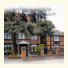 Kings Paget Hotel: fotografie