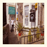 Camellia Lodge Guest House: fotografie