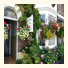 Cornubia Guest House: fotografie
