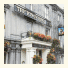 King's Head Hotel: fotografie