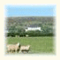The Moorland Hotel