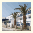Hotel Adonis