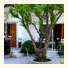 Connection Benitses Hotel: fotografie