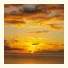 Golden Sun