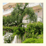 Apostolos & Eleni Family Apartments