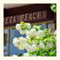 Preveza Beach Hotel: fotografie