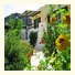Sirines Studios