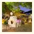 Thassos Inn: fotografie