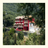 Palatino Hotel: fotografie