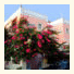 Villa Rodanthos: fotografie
