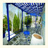 Amaryllis Apartments & Studios