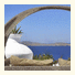 Apsenti couples only - Mykonos: fotografie