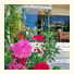 Philoxenia Hotel & Studios: fotografie