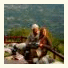 Pleiadon Gi Mountain Resort & Spa