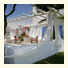 Golden Beach Hotel & Apartments: fotografie